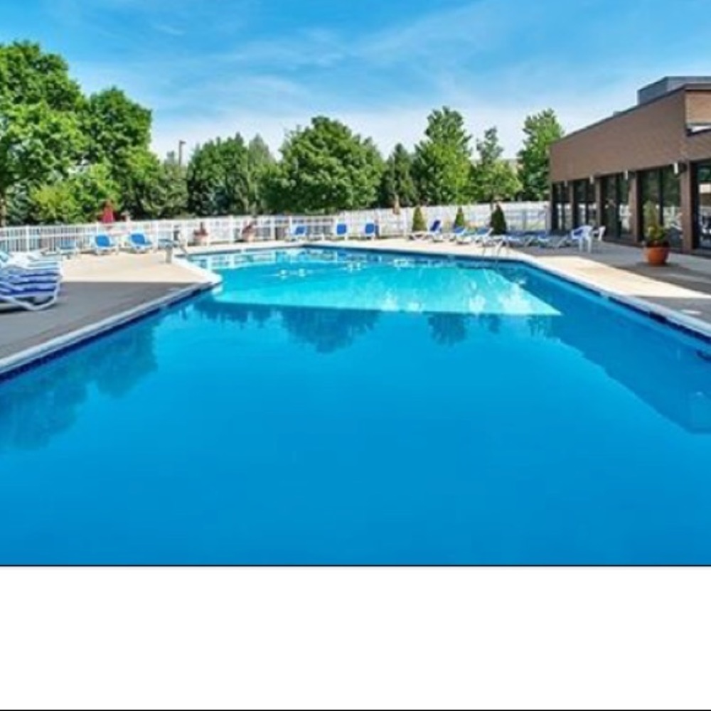 Meet your Posher, Nelia